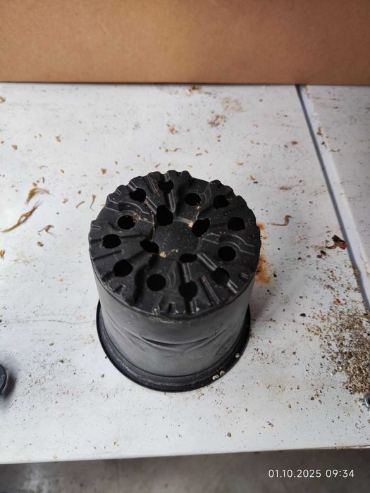 Кофички за разсад