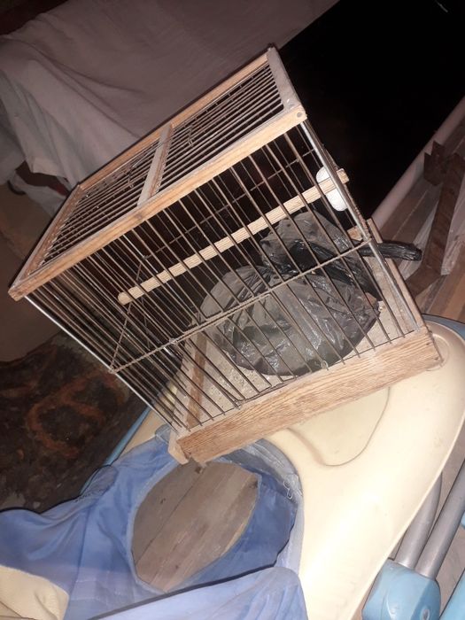 Клетка для птиц в хорошем состоянии. Кушга уия яхши холатда