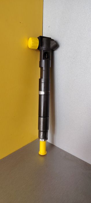 Injectoare Delphi EMBR00002D