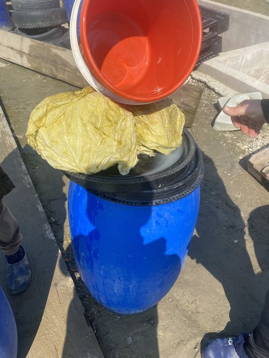 Vand varza murata si castraveti murati//ofer transport