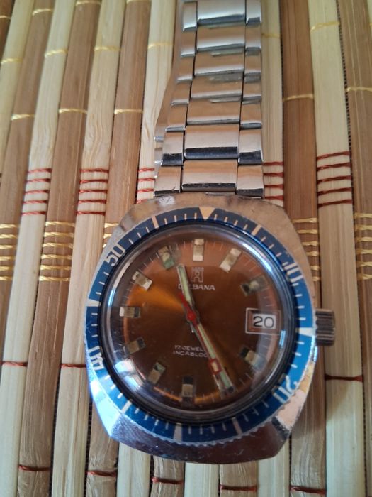 Vînd Fludo,Luga,Delbana