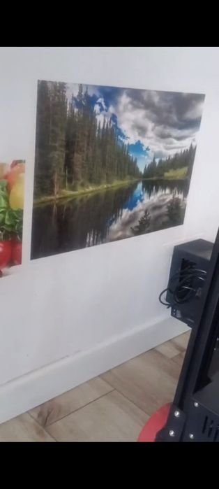 Wall Printer /  Профессиональный настенный принтер /Новая модель 2026