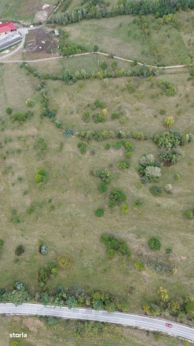 Teren 8.043 mp la DN73C Berevoesti – 3€/mp! Oportunitate rara