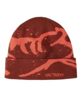 шапки ARCTERYX Grotto