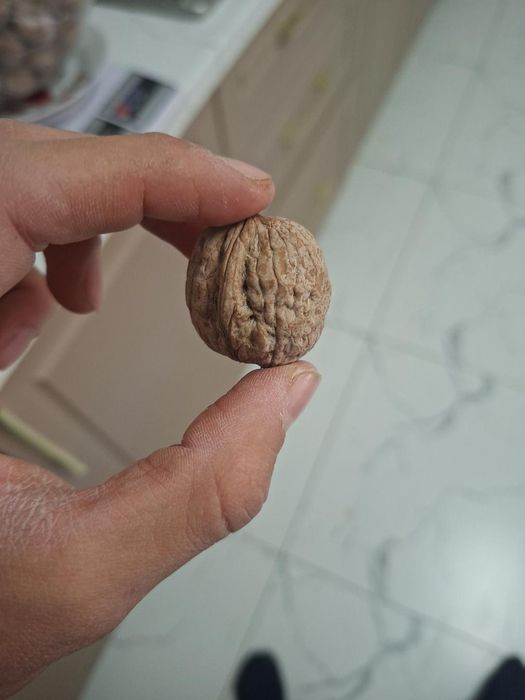 Продаю очищенные греческие орехи