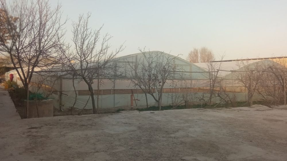 Todon mahallada Issiqxona va uchastka uchun móljallanga hujjatlari joy