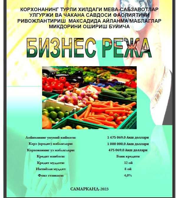 ТЭО,Бизнес режа ва лойихалар