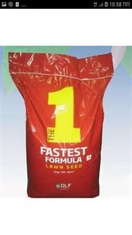 Gazon uruglari семена газона оптим