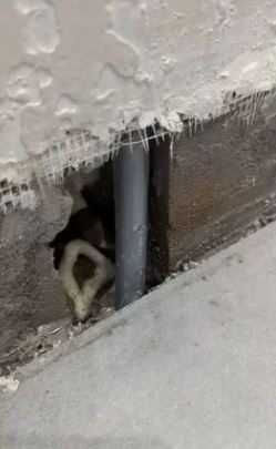 Поиск утечки воды