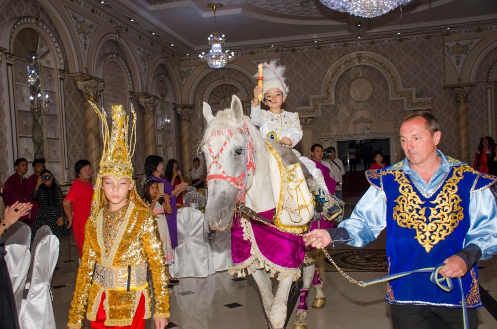 Конь. Лошадь, сопровождение