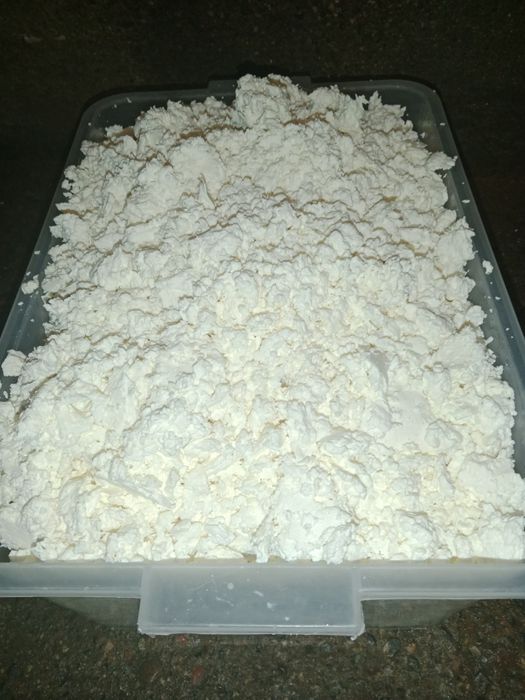 Продам творог домашний в количестве по 40 кг