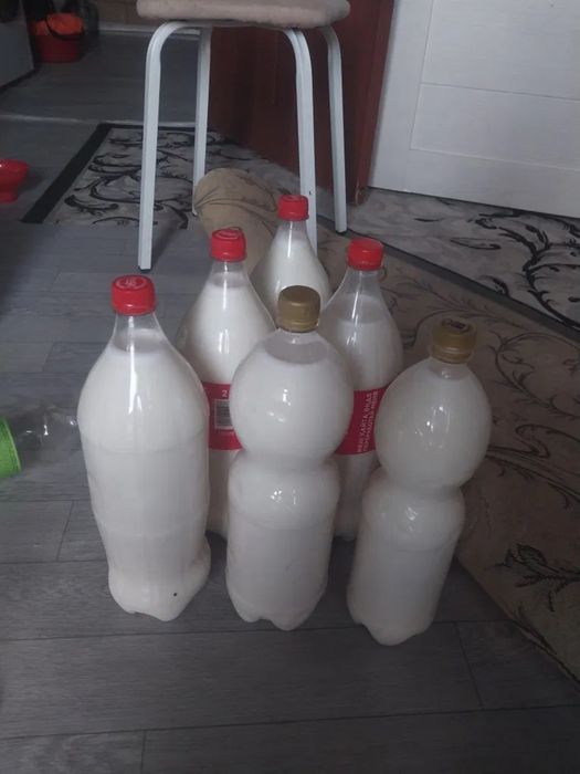 кымыз сатам жаннаркадан