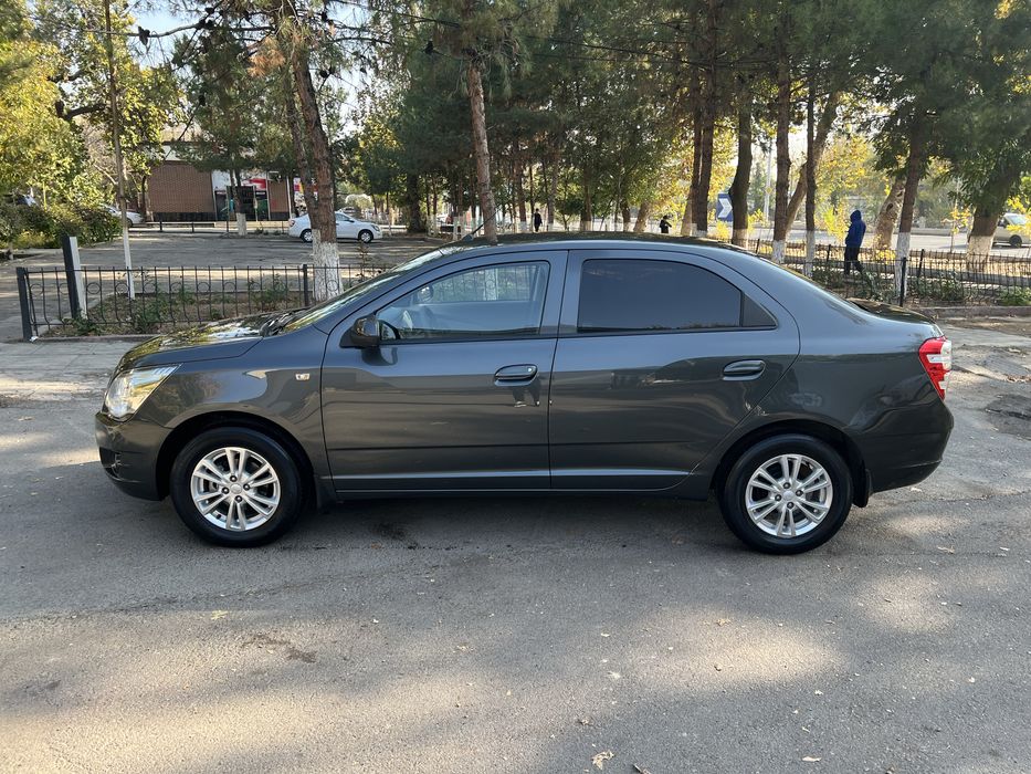 Cobalt 2022 kraska 100% toza