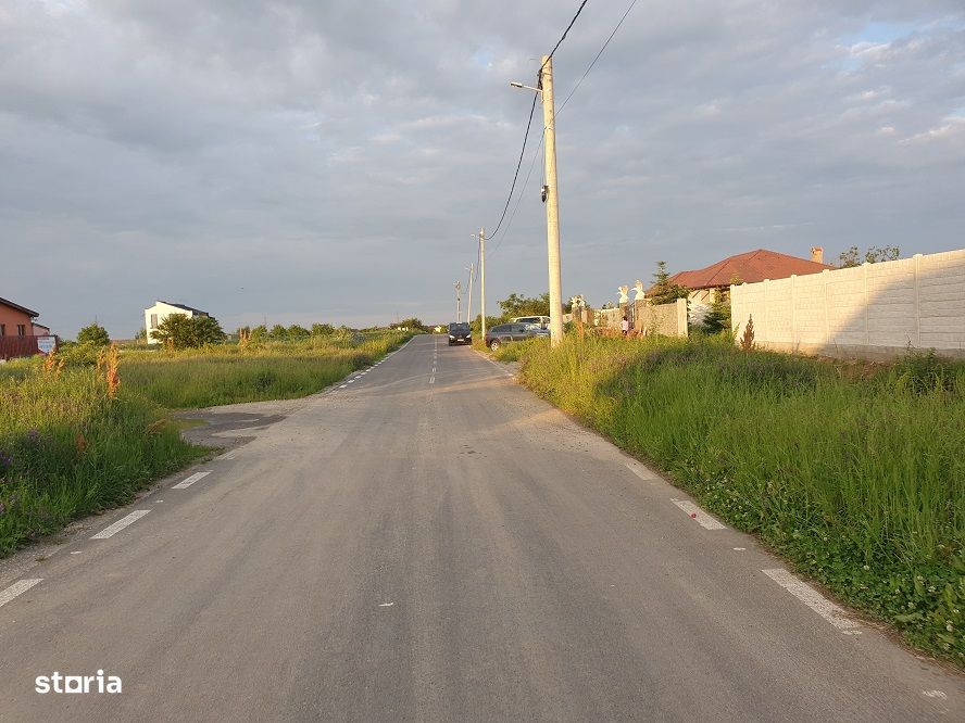 Vanzare teren Balotesti-Lahovari,strada Cameliei,intre case,31000 euro