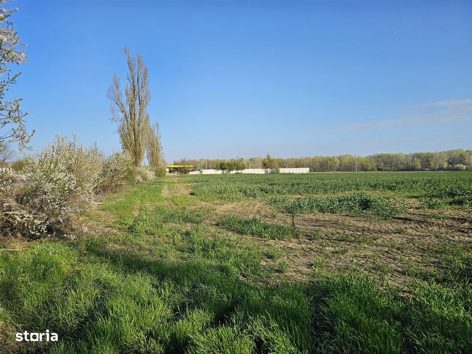 10.100Mp Teren Construcții Intravilan Potigrafu, Deschidere 31M La Dn1