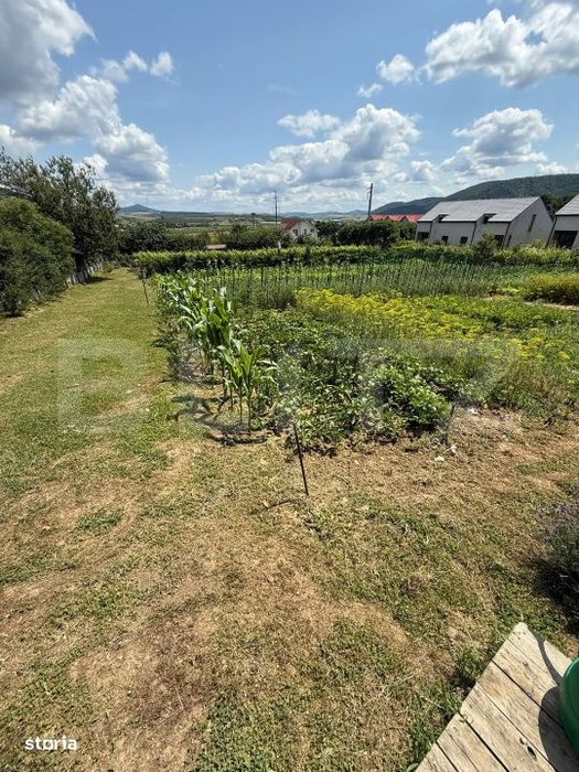 Teren intravilan de vanzare, 3.000 mp, Bistrita