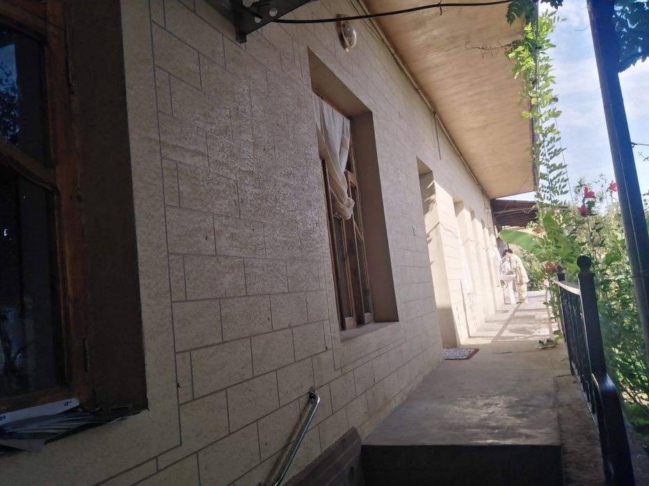 Зангота туман Назарбек Мевазор МФИ  жондор куча  9-уй 8-сотих