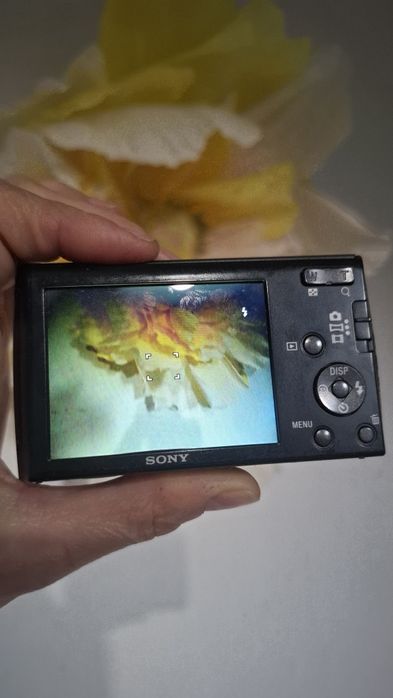 Компактен дигитален фотоапарат Sony Cybershot W510