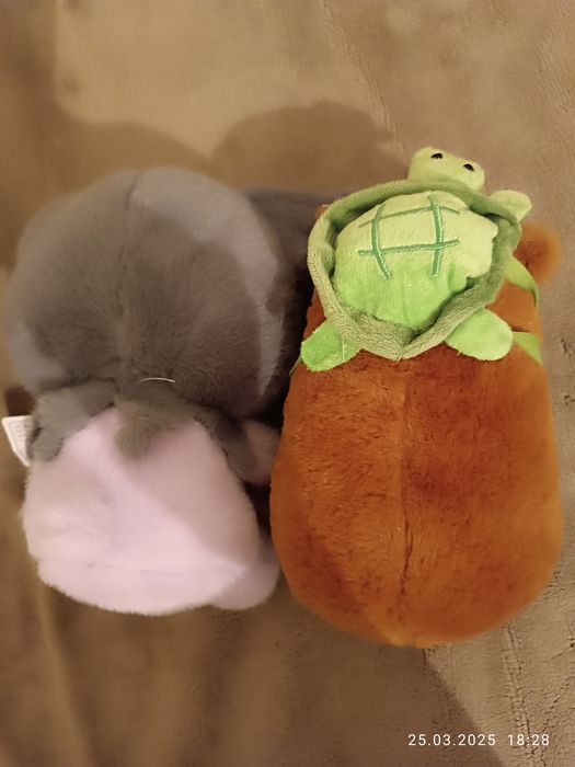 Куруми,капибара игрушки