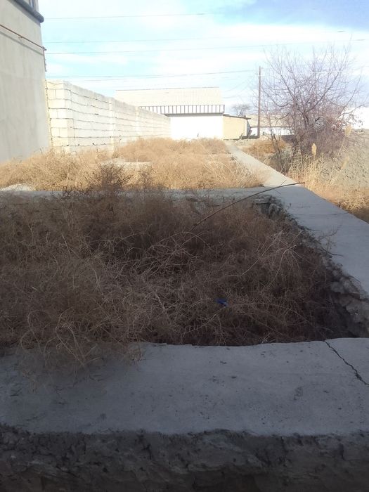 Beshrabot yer sotiladi yashash joyi ham bor