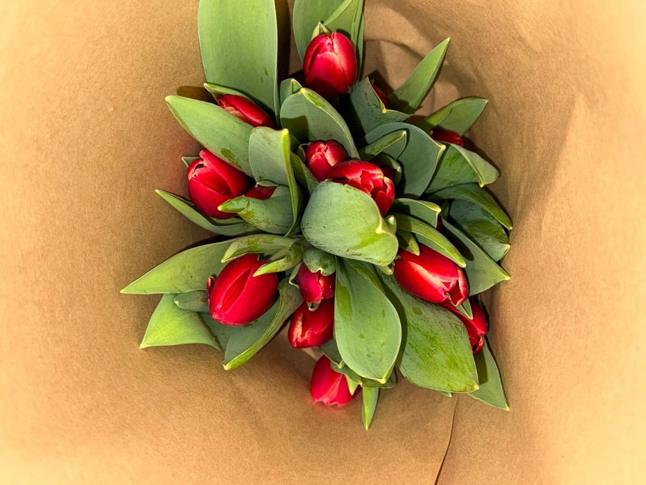 Тюльпаны собираю заказы Алматы!!