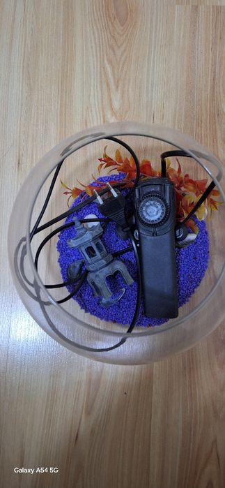 Acvarii gen bol, 5-6litri, cu toate accesoriile pt pești beta