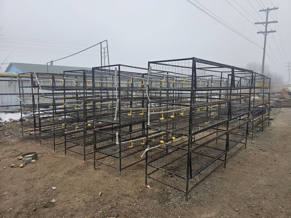 Продам клетки для содержания курей