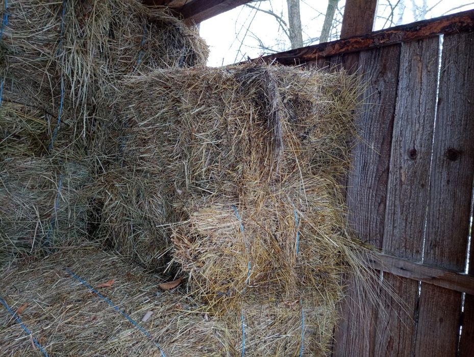 Baloti din fan si iarba