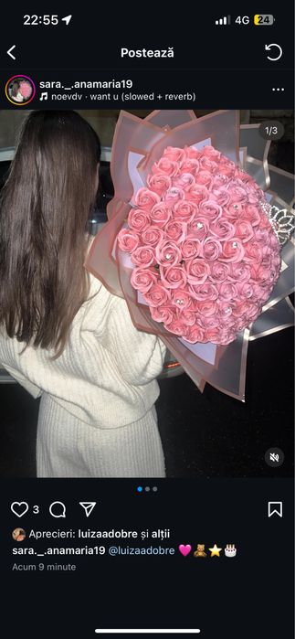 buchete trandafiri sapun buchet stitch 101 fire cadou personalizat