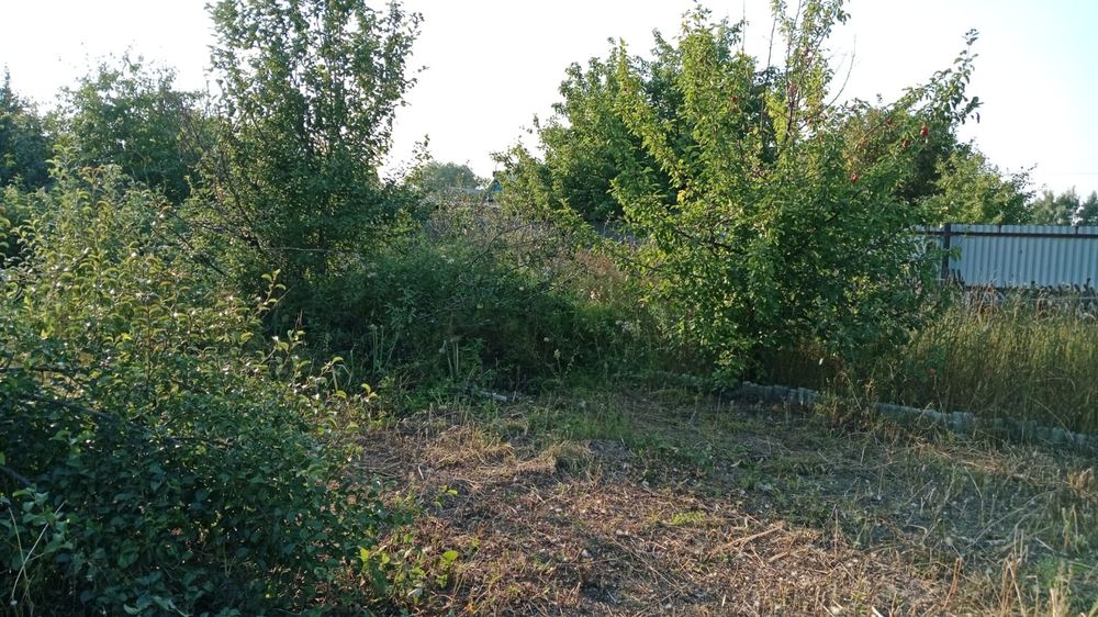 Продам дачу в СО Автомобилистов