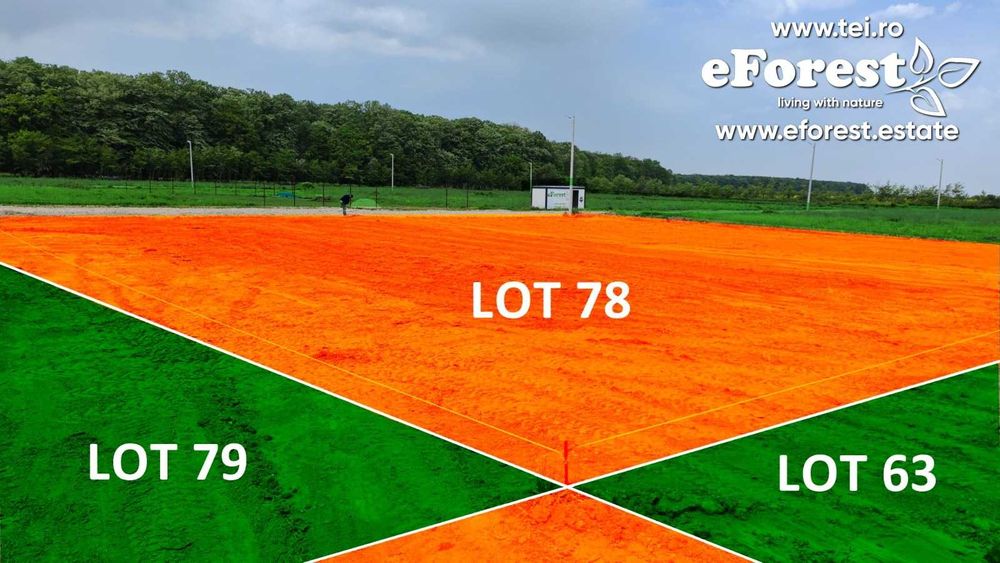 eForest, Loturi de casă, între 2 paduri, după Buftea, Acces DN1A