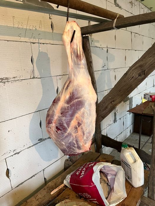 Продам варш свежий