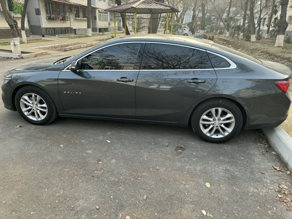 MALUBI 2  kraska toza 2018