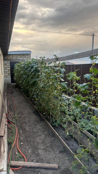 Продам. 55 млн. Торг имеется