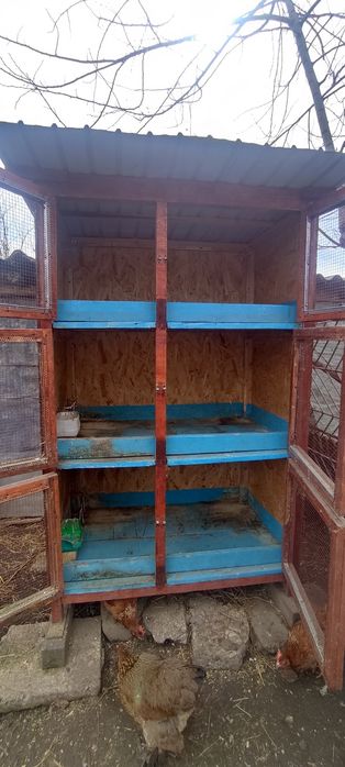 Vând cușca de iepuri