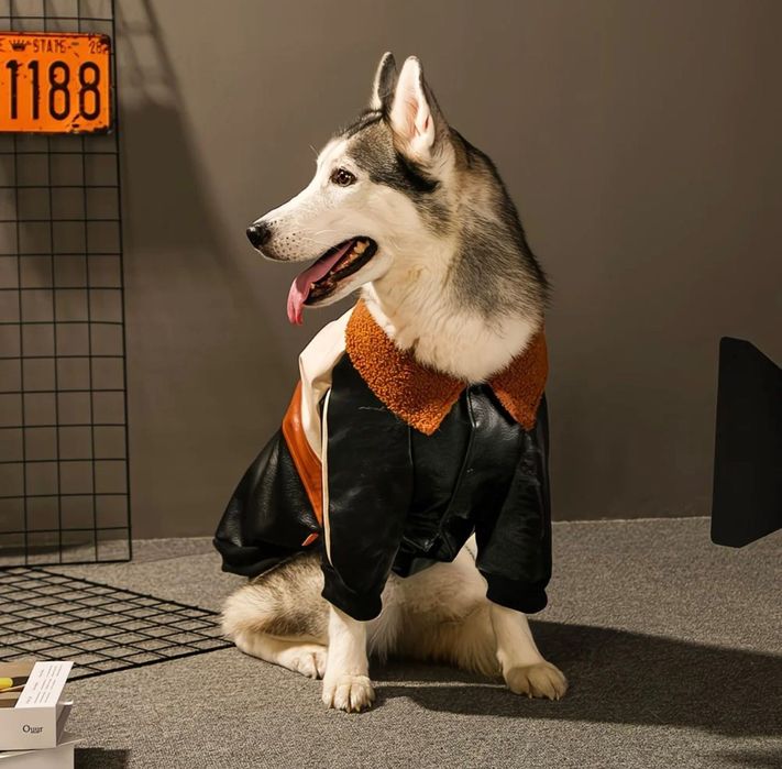 Бомбер для собак крупных пород. Утепленный