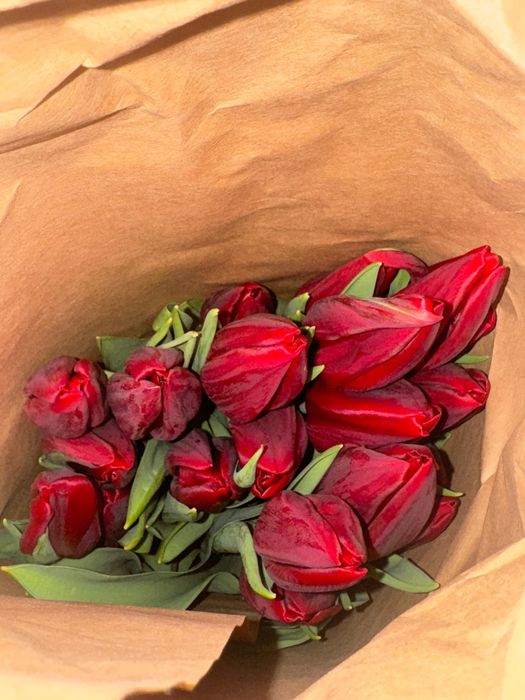 Тюльпаны 70 см к 8 марта