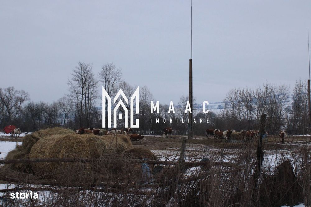 Teren 8000 mp I Intravilan I Utilitati I Vurpar