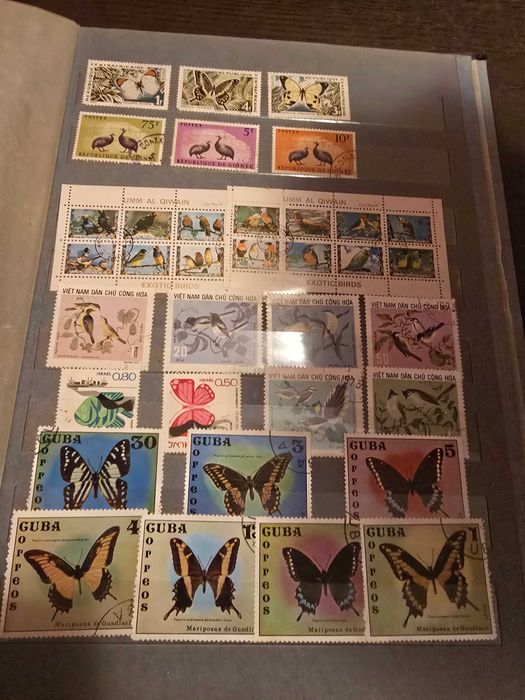 Colectie Timbre URSS + Israel + Internationale | ~12.000 buc