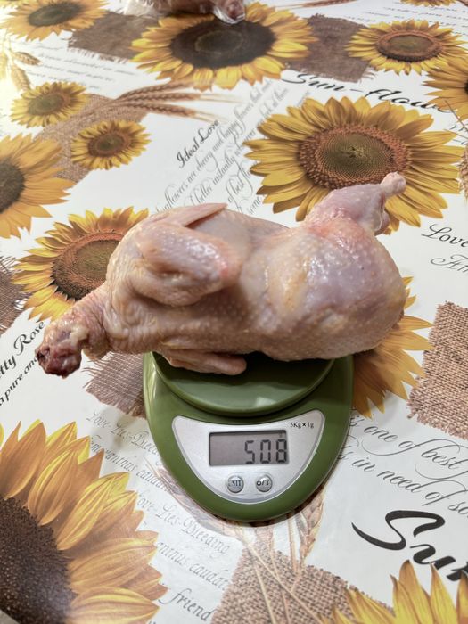 Перепелиное Мясо