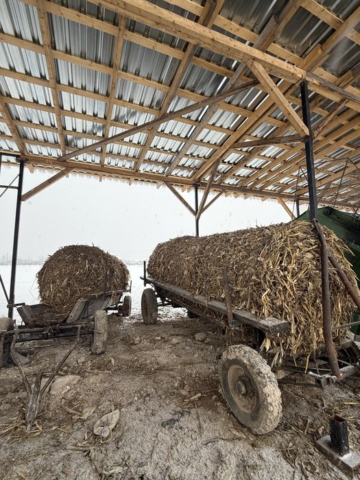 Baloții de tulei de vanzare