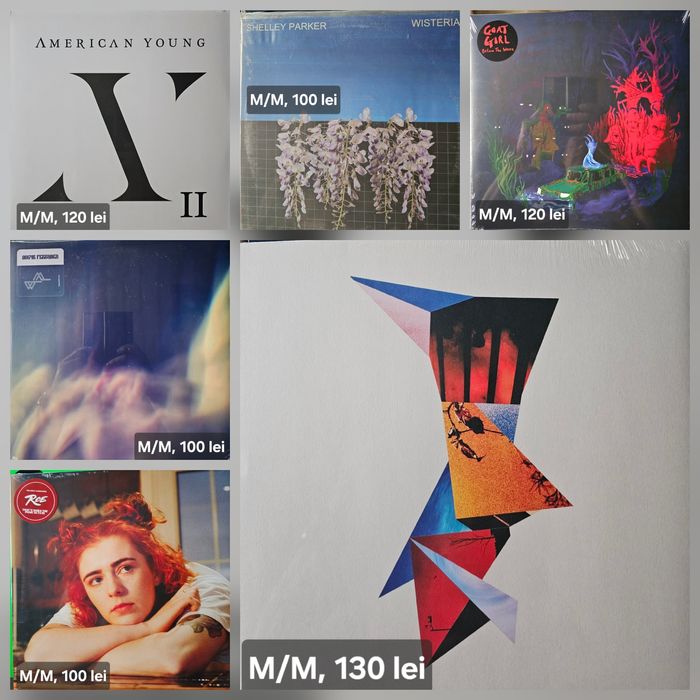 Discuri vinil ( vinyl)