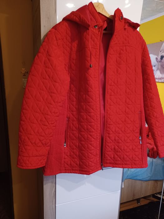 Vind urgent geci de dama