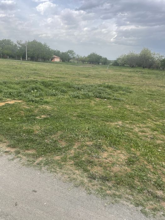 Продава се Парцел в с. Опълченец, Област Стара Загора - 1500 кв.м за 5 €/кв.м - Снимка #3