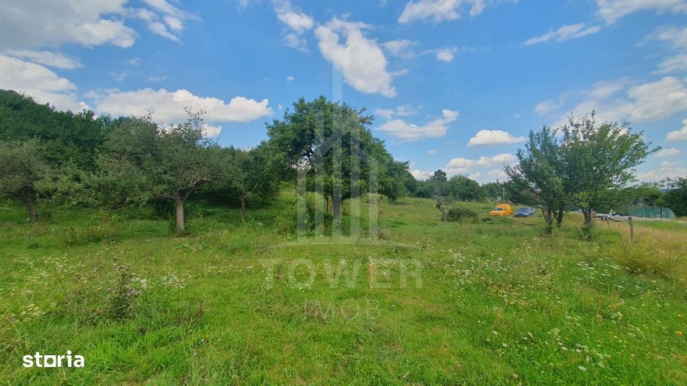 Teren extravilan de vânzare – 2.110 mp în Sibiel
