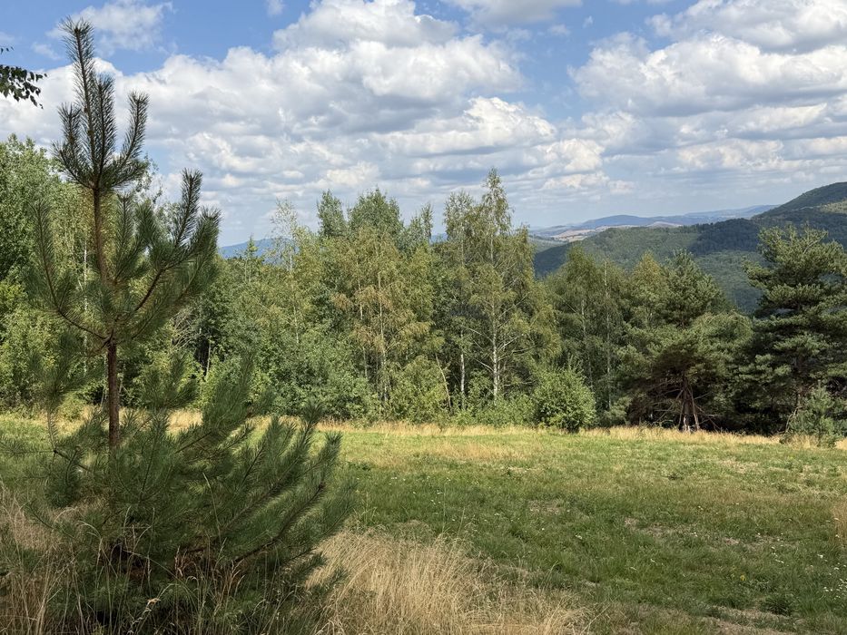 Teren în Damiș cu panoramă superbă spre Vlădeasa – altiudine 820 m, curent și apă la limită