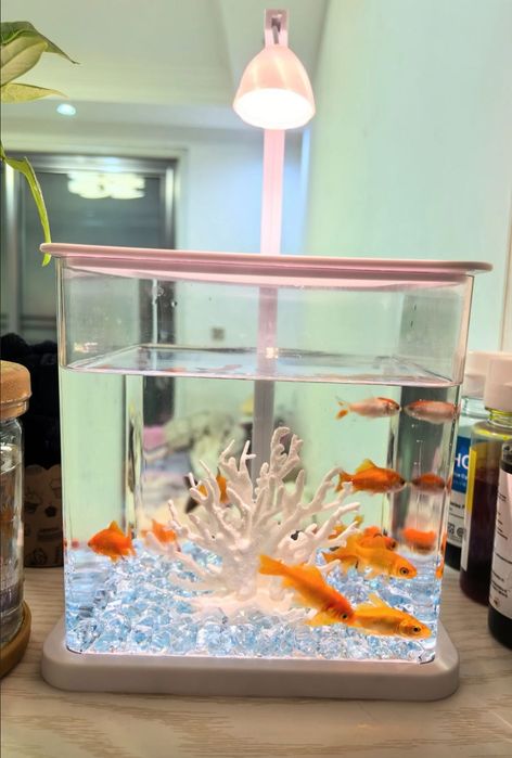 Аквариум за 8000 тенге