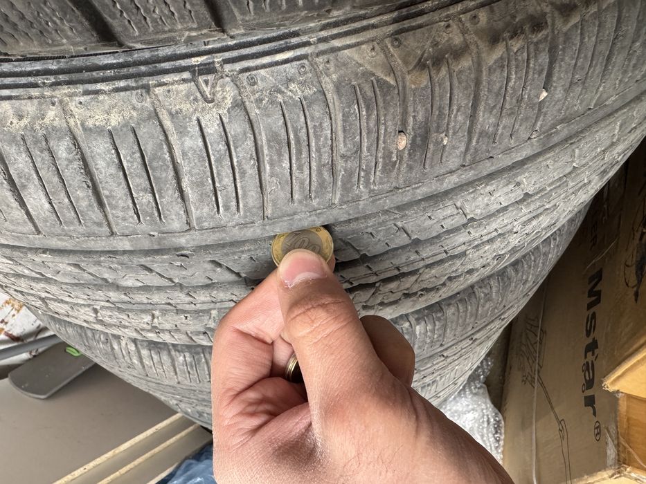 Шины Dunlop 225/55/R19