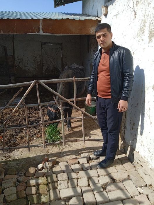 Mollar sotiladi kelishilgan narxlarda