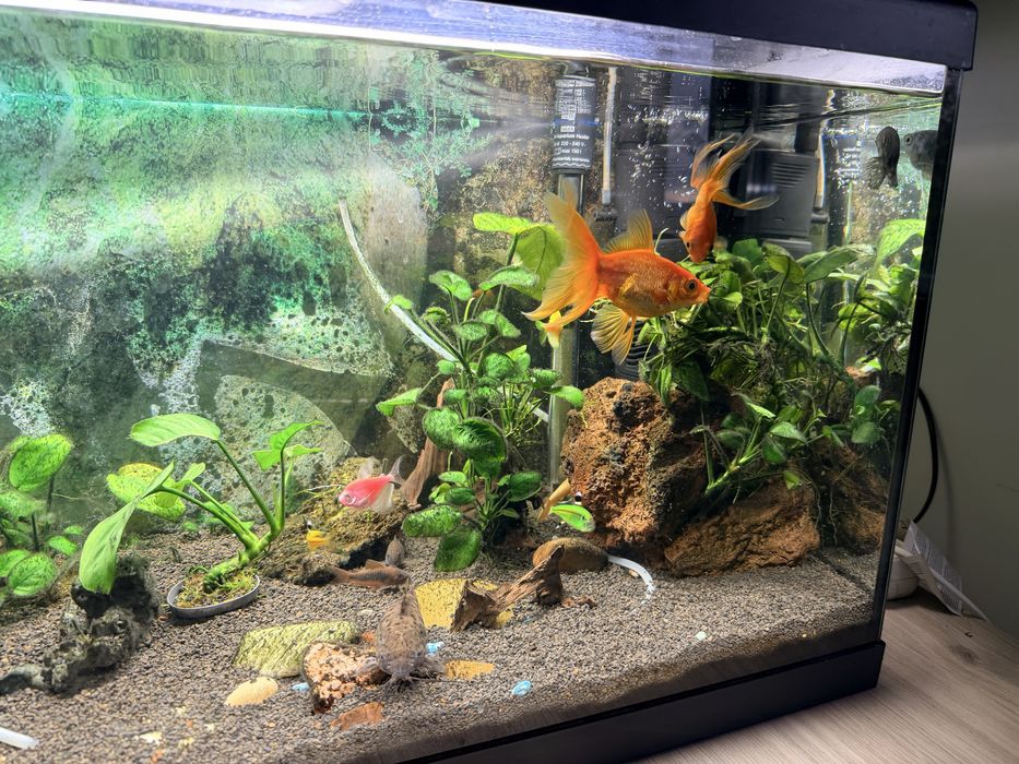 Acvariu 120l Complet